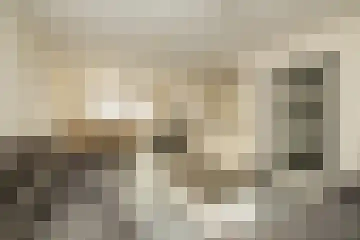 Havikshorst 37 Honselersdijk thumbnail 10