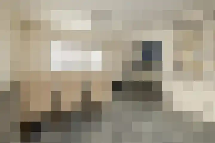 Havikshorst 37 Honselersdijk thumbnail 12