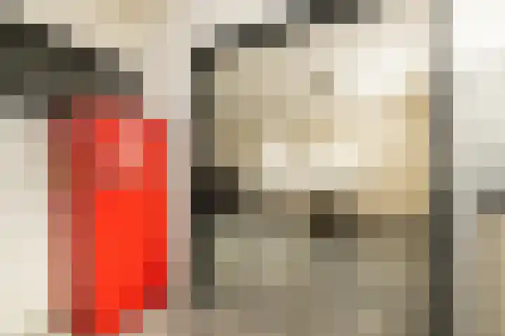 Havikshorst 37 Honselersdijk thumbnail 15