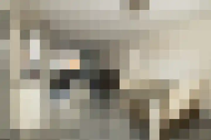 Havikshorst 37 Honselersdijk thumbnail 16