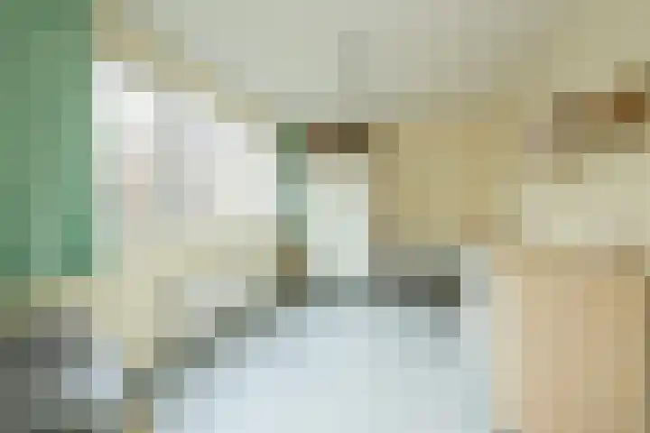 Havikshorst 37 Honselersdijk thumbnail 24