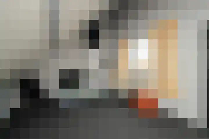 Havikshorst 37 Honselersdijk thumbnail 33