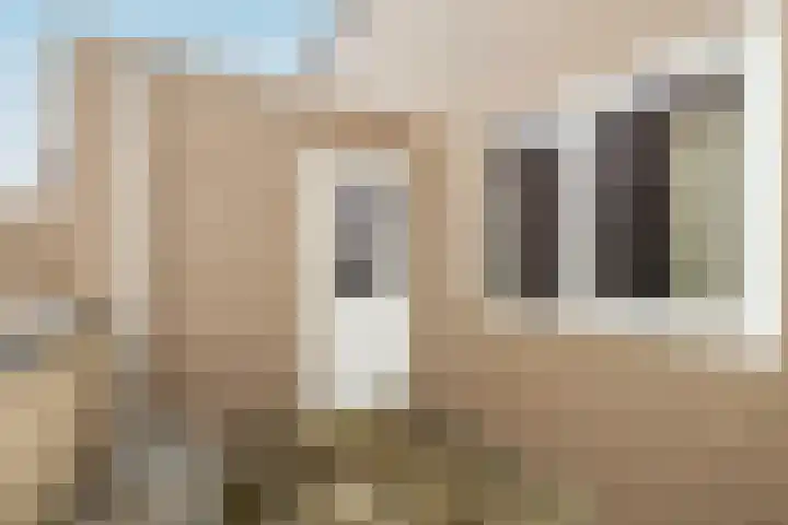 Havikshorst 37 Honselersdijk thumbnail 37