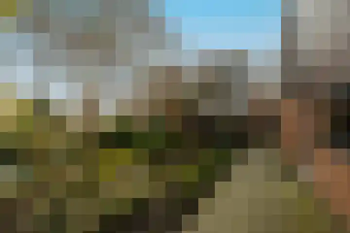 Havikshorst 37 Honselersdijk thumbnail 39