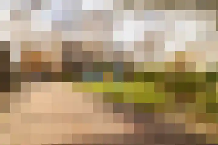Havikshorst 37 Honselersdijk thumbnail 41