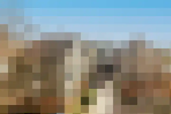 Havikshorst 37 Honselersdijk thumbnail 42