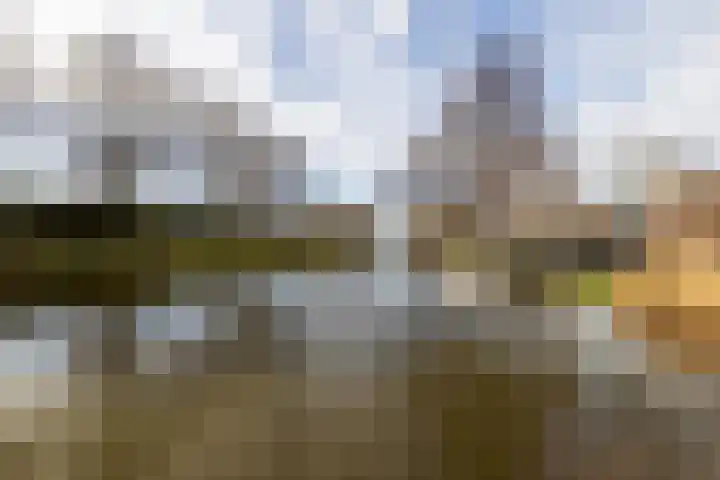 Havikshorst 37 Honselersdijk thumbnail 43