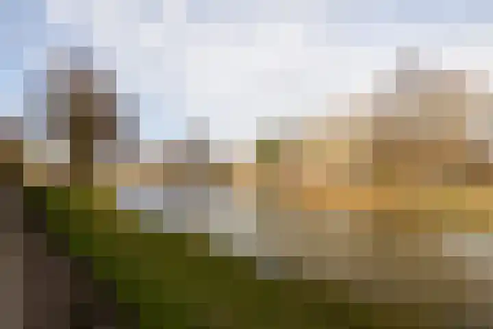 Havikshorst 37 Honselersdijk thumbnail 44