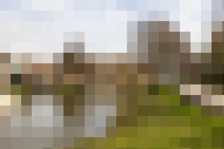 Havikshorst 37 Honselersdijk thumbnail 45