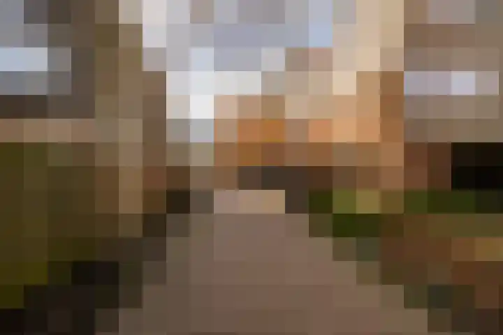 Havikshorst 37 Honselersdijk thumbnail 47
