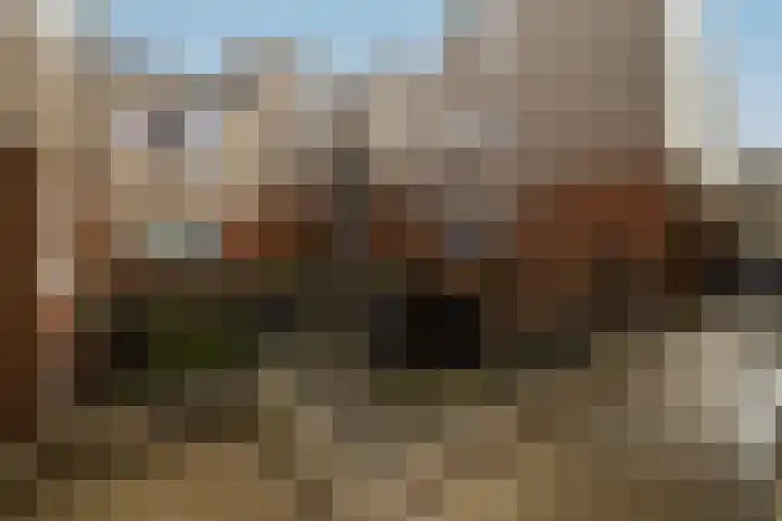 Havikshorst 37 Honselersdijk thumbnail 5