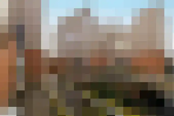 Havikshorst 37 Honselersdijk thumbnail 6
