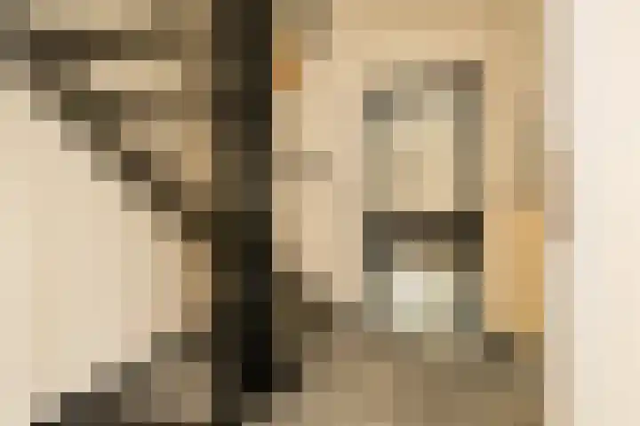 Havikshorst 37 Honselersdijk thumbnail 8