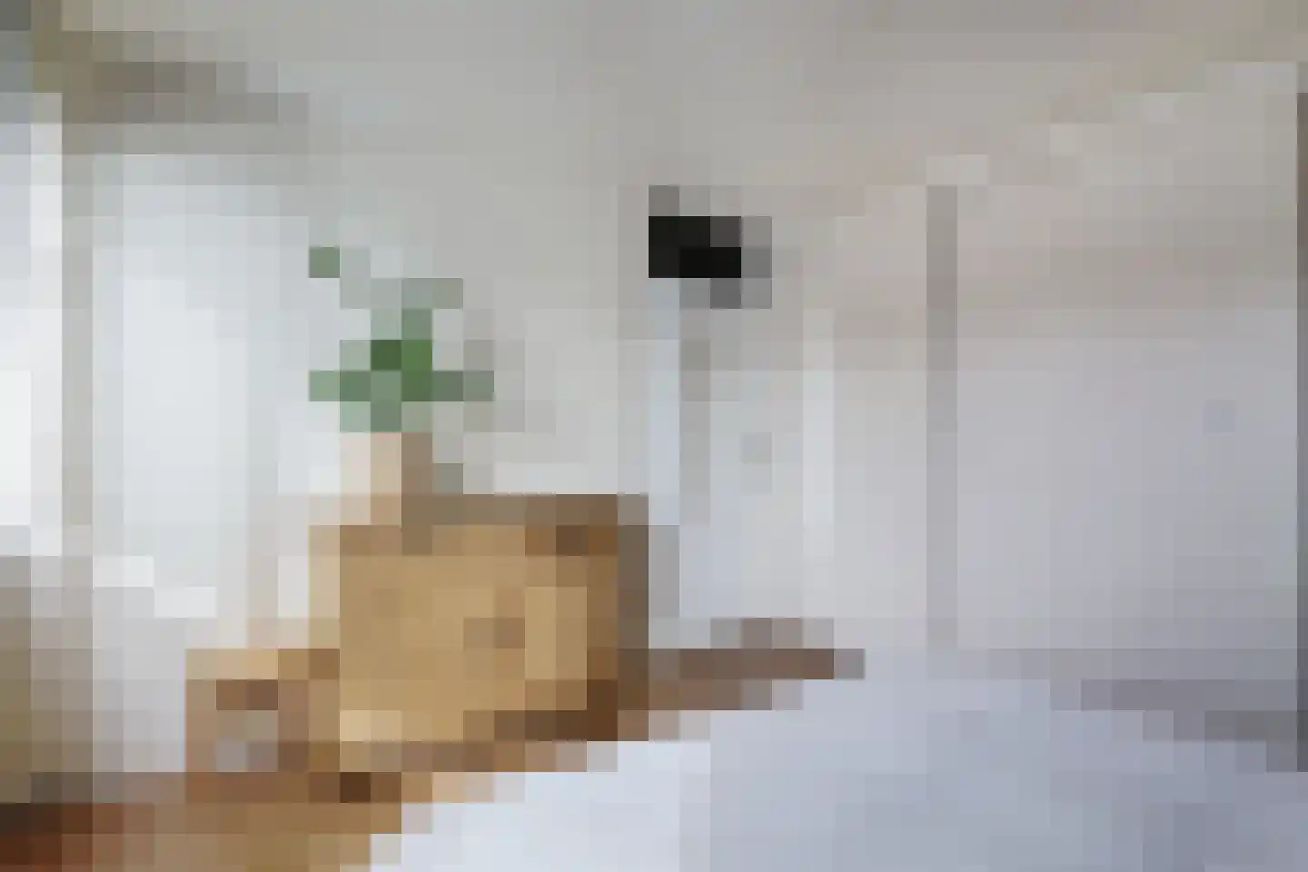Havikshorst 7 Hoevelaken thumbnail 30