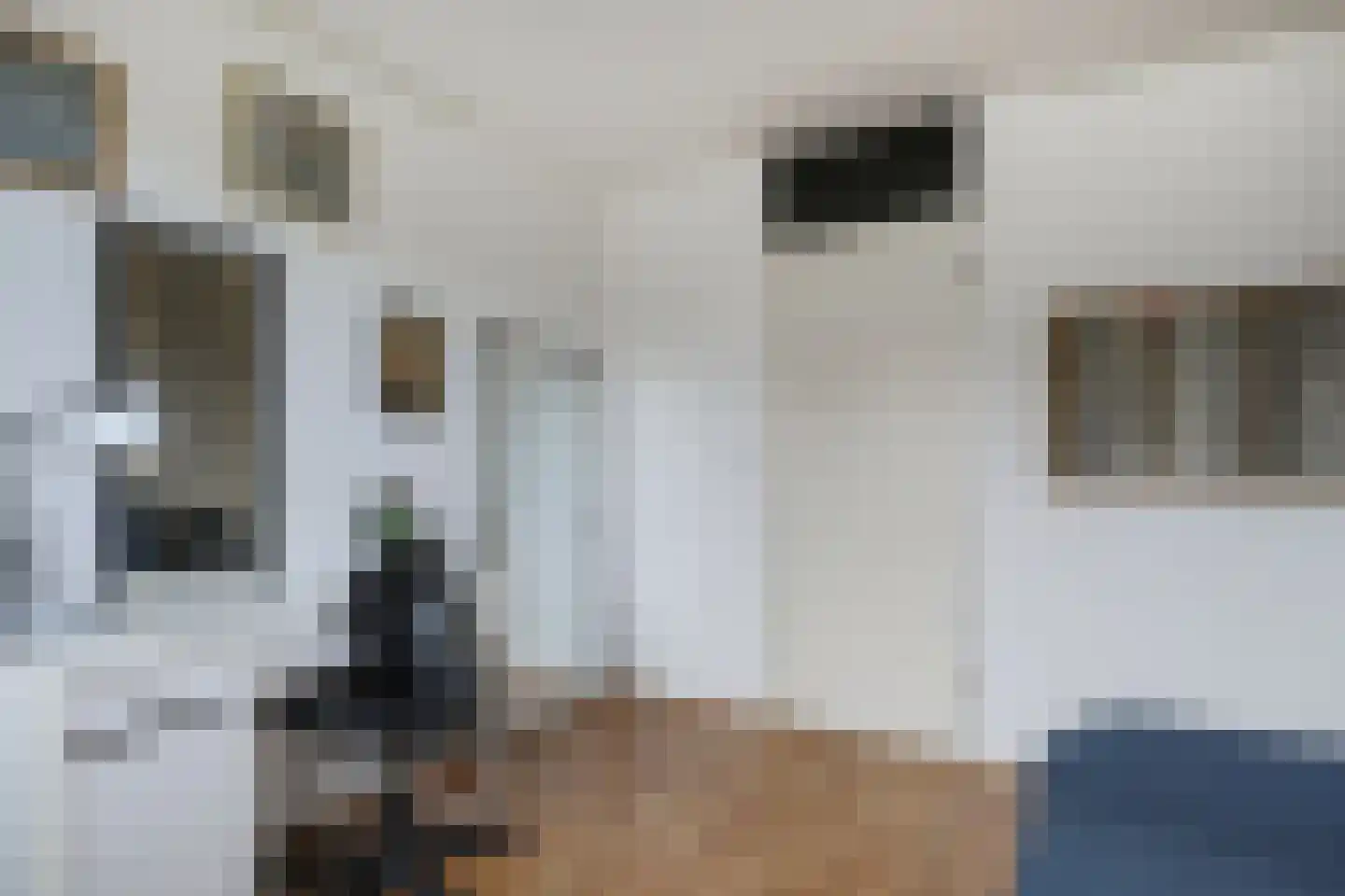 Havikshorst 7 Hoevelaken thumbnail 33