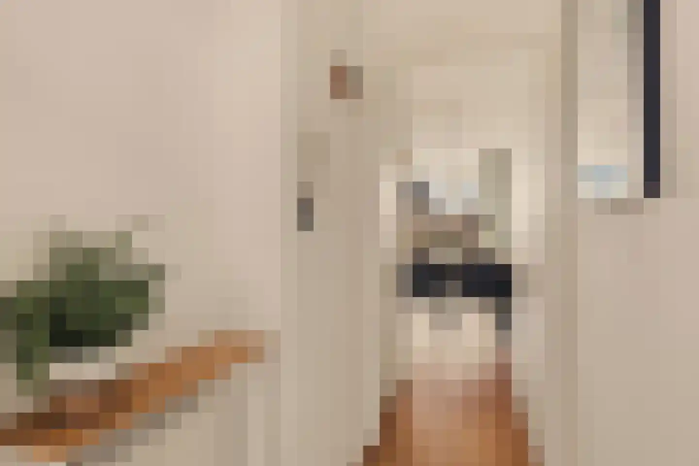 Havikshorst 86 Amsterdam thumbnail 16