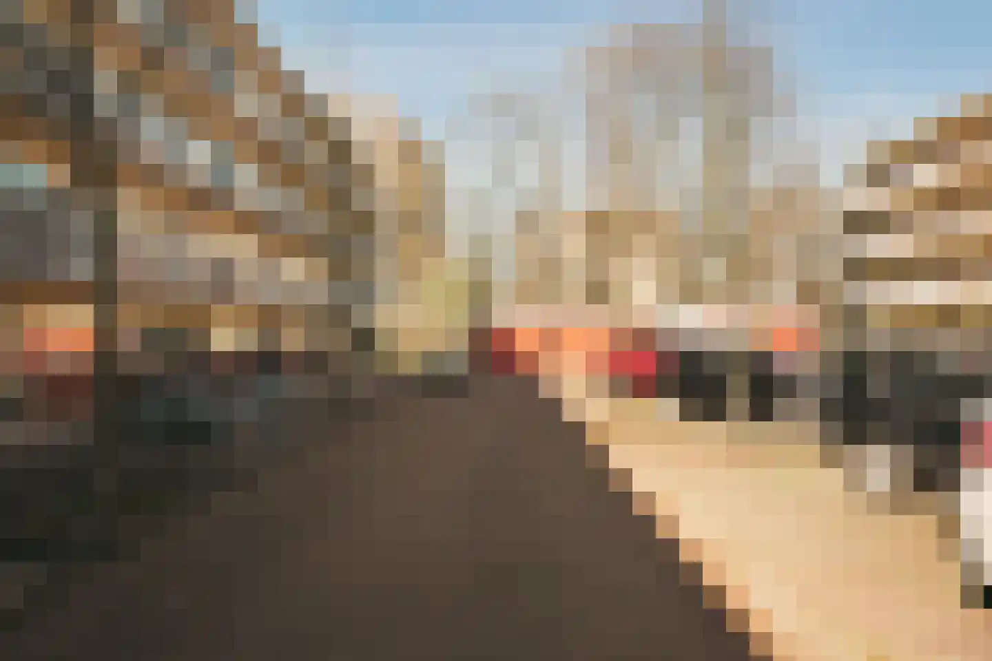 Havikshorst 86 Amsterdam thumbnail 40