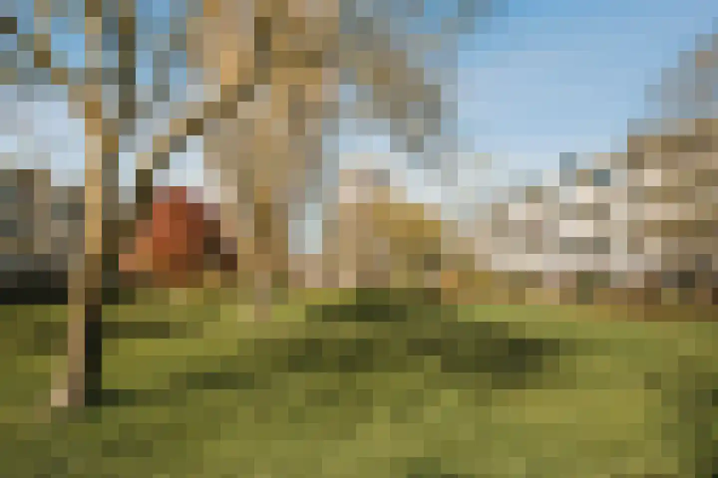 Havikshorst 86 Amsterdam thumbnail 41