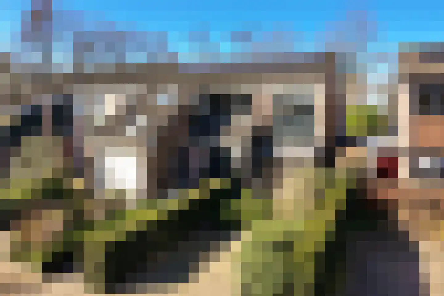 Havikskruid 10 Maartensdijk