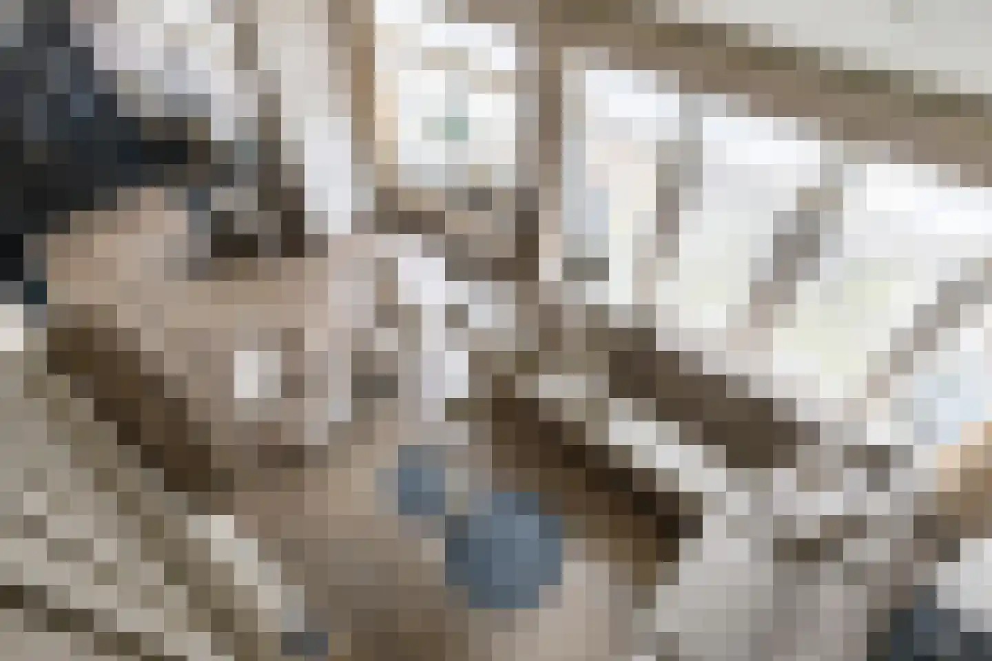Havikskruid 10 Maartensdijk thumbnail 11