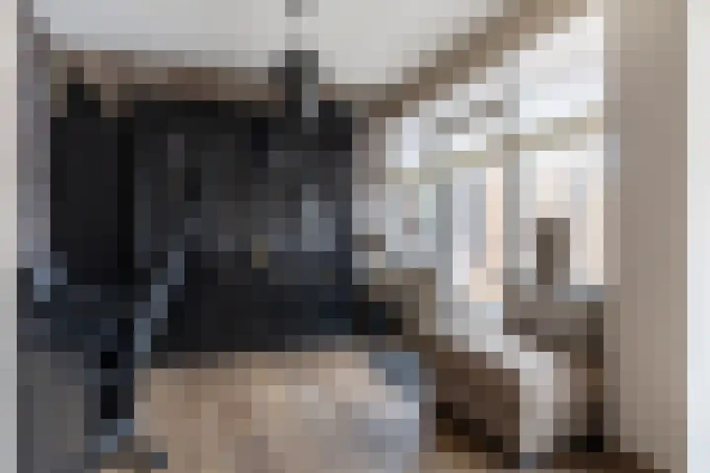 Havikskruid 10 Maartensdijk thumbnail 14