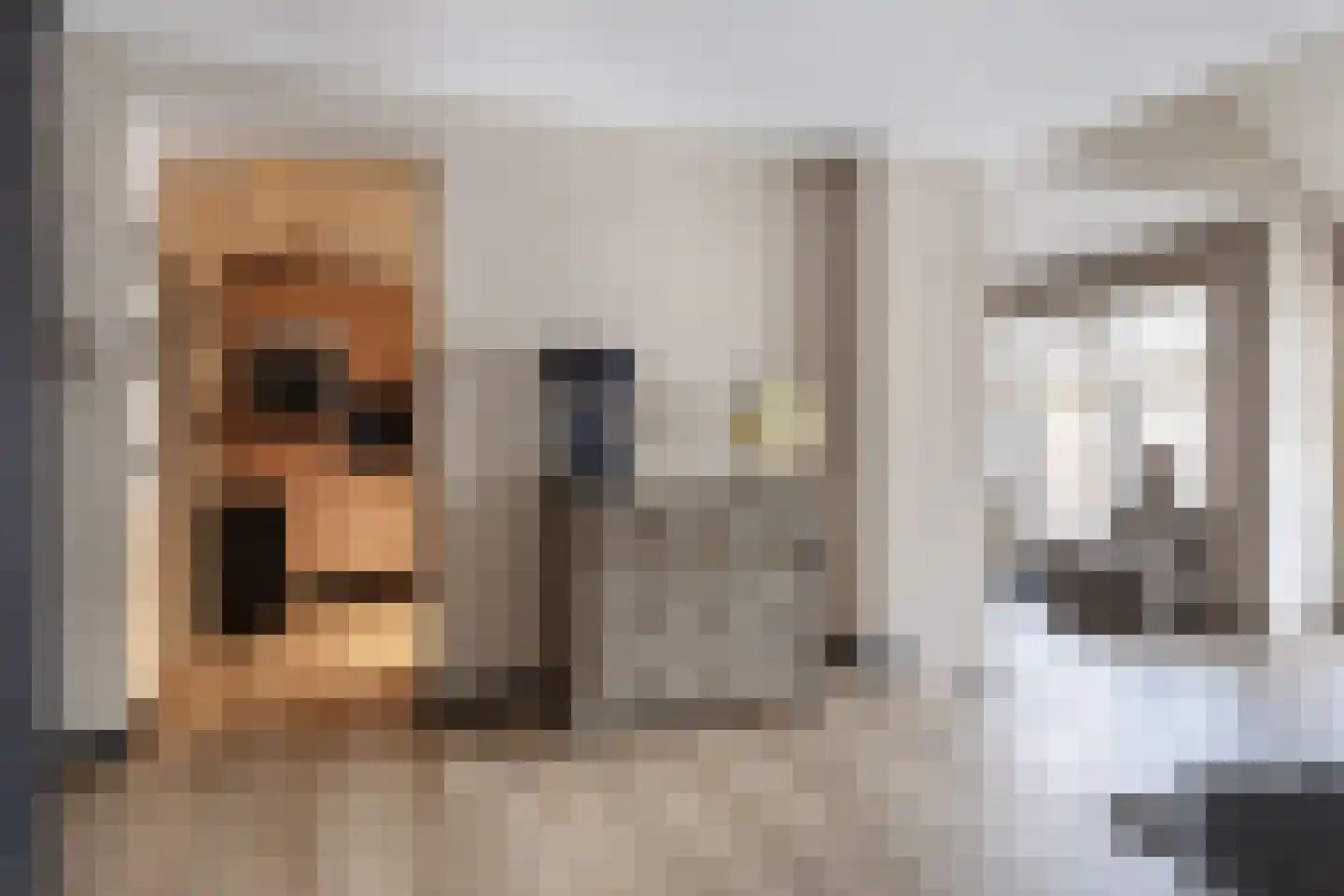 Havikskruid 10 Maartensdijk thumbnail 21
