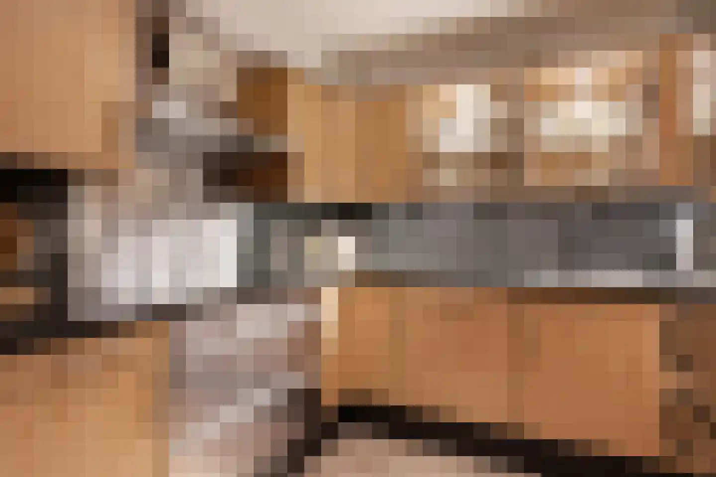 Havikskruid 10 Maartensdijk thumbnail 23