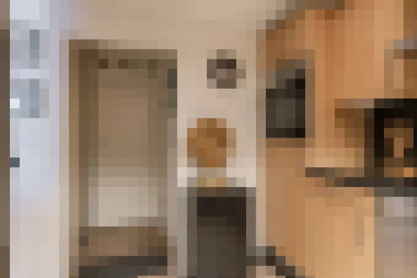 Havikskruid 10 Maartensdijk thumbnail 24