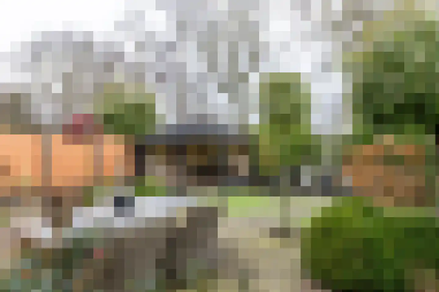 Havikskruid 10 Maartensdijk thumbnail 37