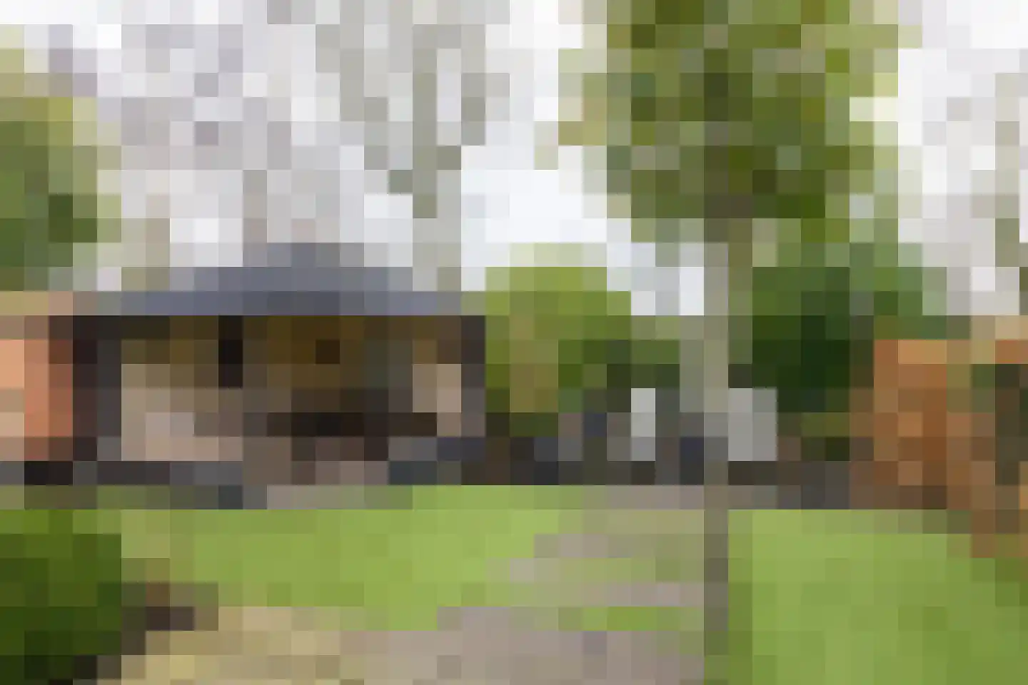Havikskruid 10 Maartensdijk thumbnail 38