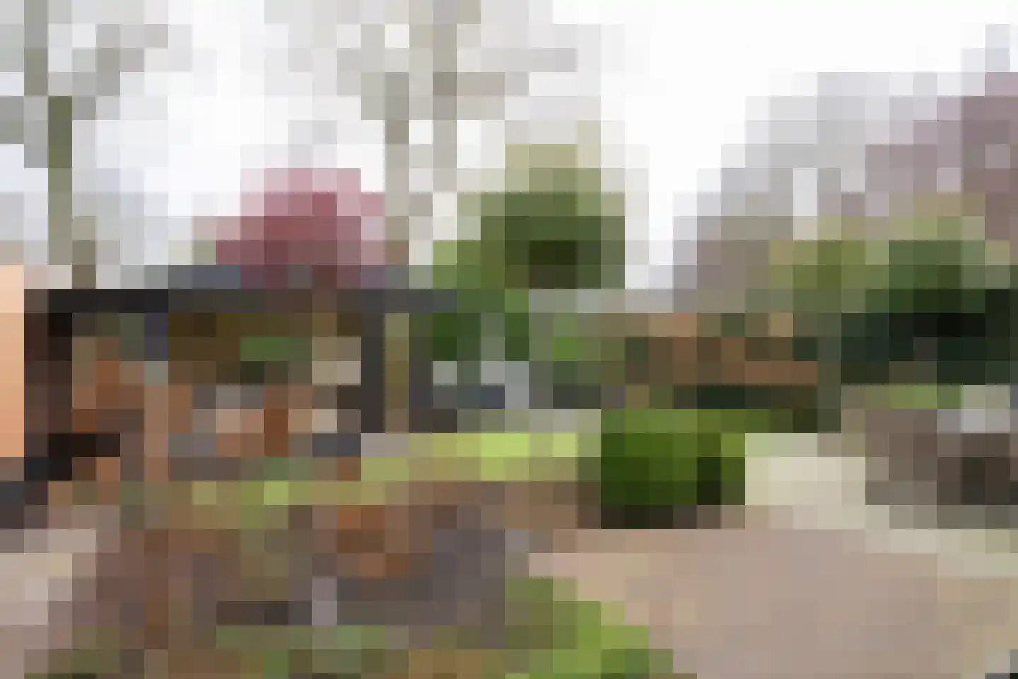 Havikskruid 10 Maartensdijk thumbnail 39