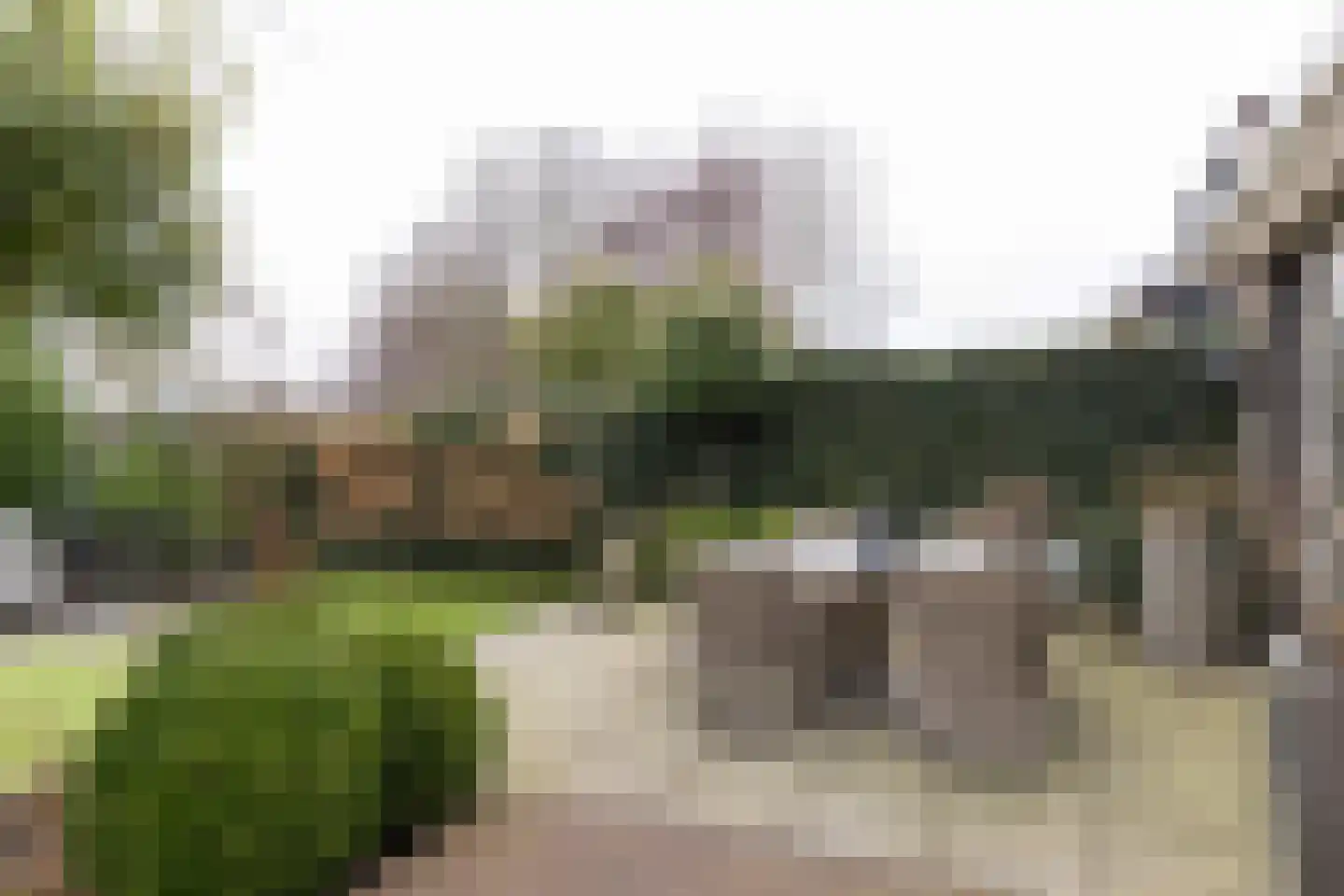 Havikskruid 10 Maartensdijk thumbnail 40