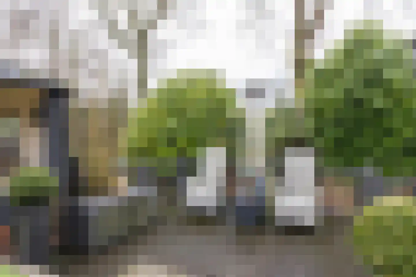 Havikskruid 10 Maartensdijk thumbnail 43
