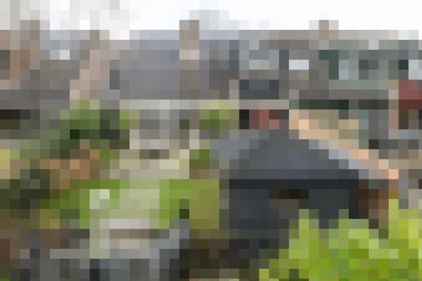Havikskruid 10 Maartensdijk thumbnail 46