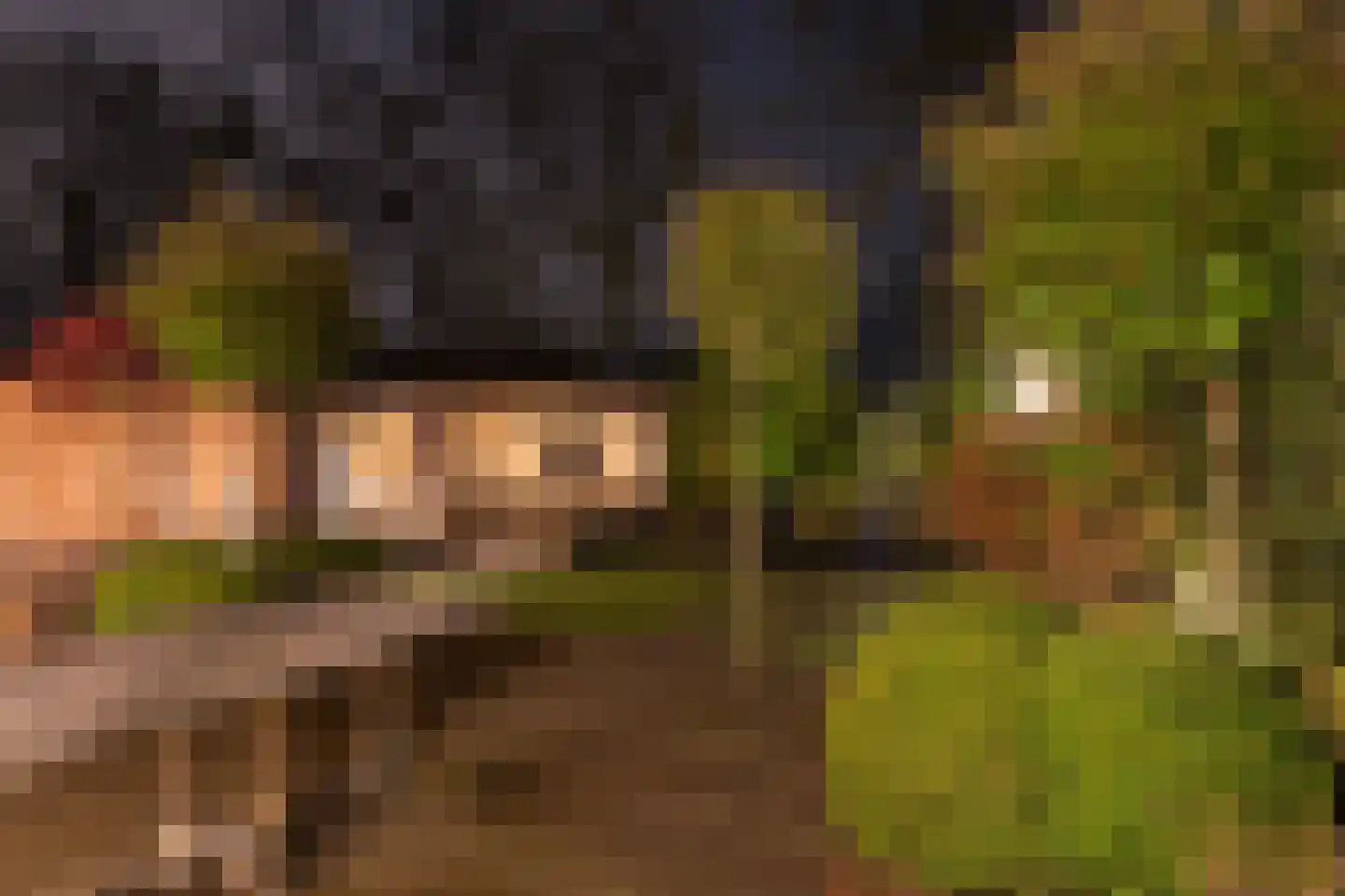 Havikskruid 10 Maartensdijk thumbnail 49