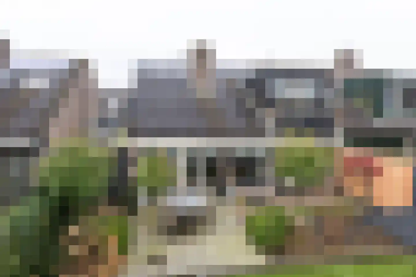 Havikskruid 10 Maartensdijk thumbnail 50