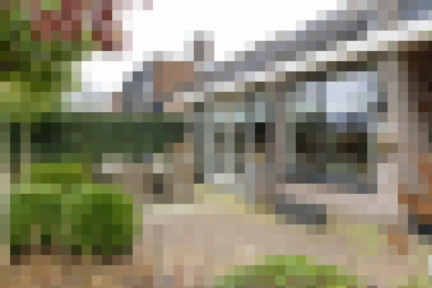 Havikskruid 10 Maartensdijk thumbnail 53