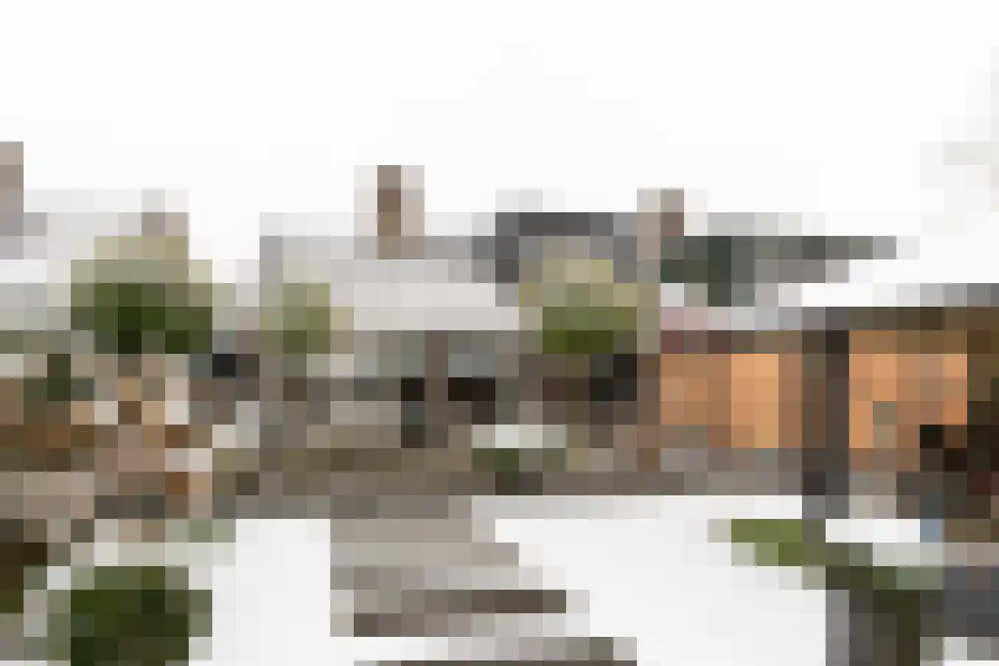 Havikskruid 10 Maartensdijk thumbnail 54