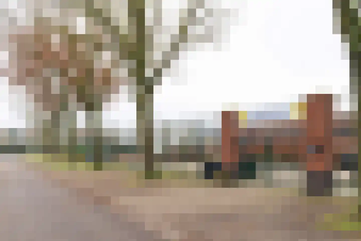Havikskruid 10 Maartensdijk thumbnail 58