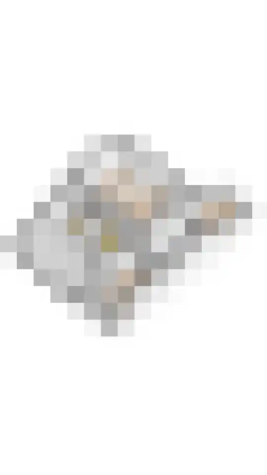 Havikskruid 10 Maartensdijk thumbnail 62