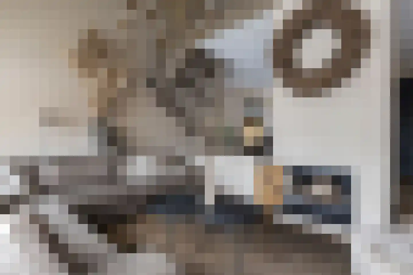 Havikskruid 10 Maartensdijk thumbnail 9