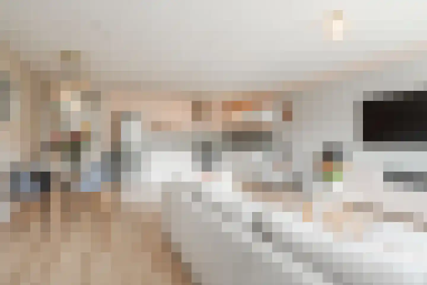 Havikskruid 12 Diemen thumbnail 12