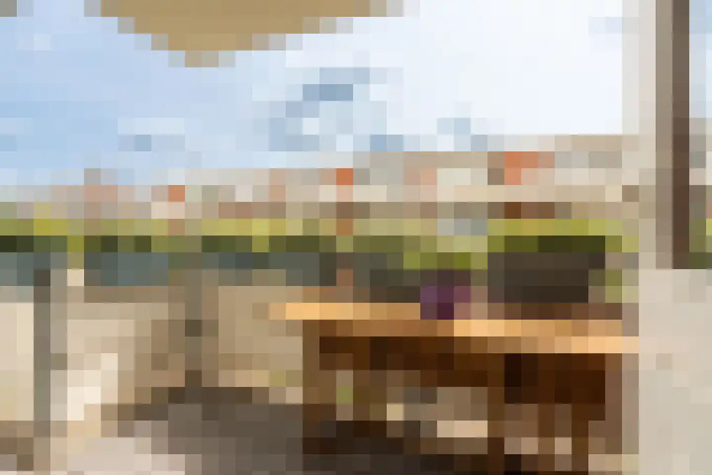 Havikskruid 12 Diemen thumbnail 19