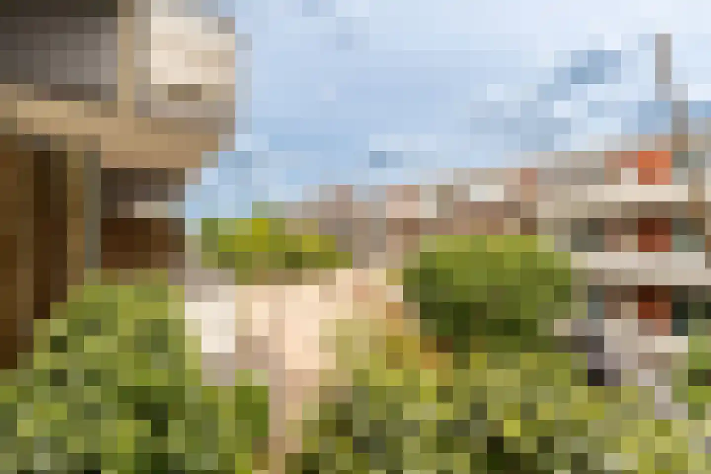 Havikskruid 12 Diemen thumbnail 21