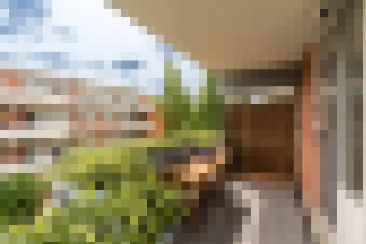 Havikskruid 12 Diemen thumbnail 22