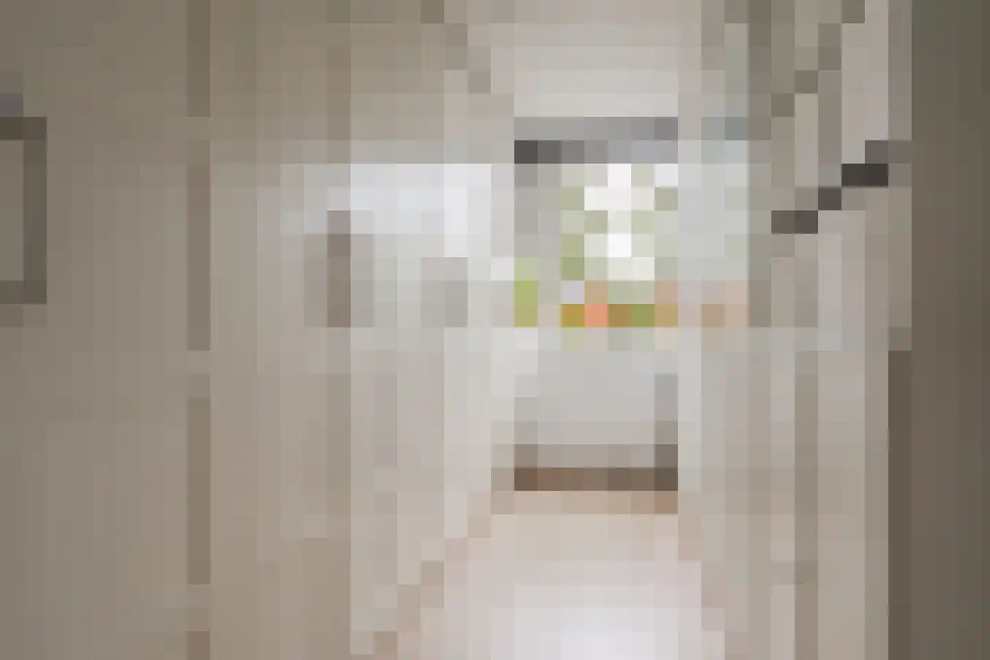 Havikskruid 12 Diemen thumbnail 36