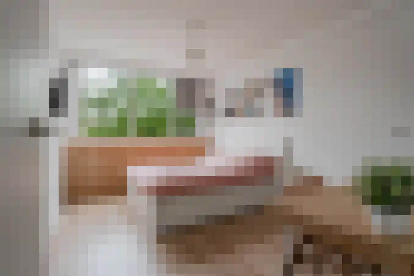 Havikskruid 12 Diemen thumbnail 38