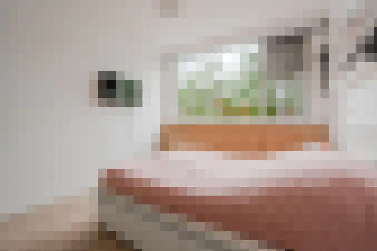 Havikskruid 12 Diemen thumbnail 39