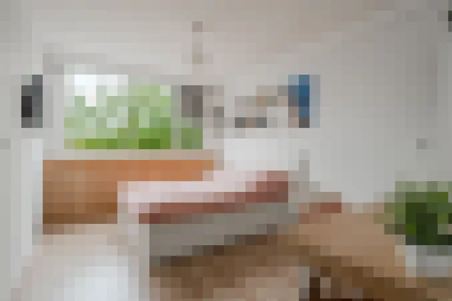 Havikskruid 12 Diemen thumbnail 40