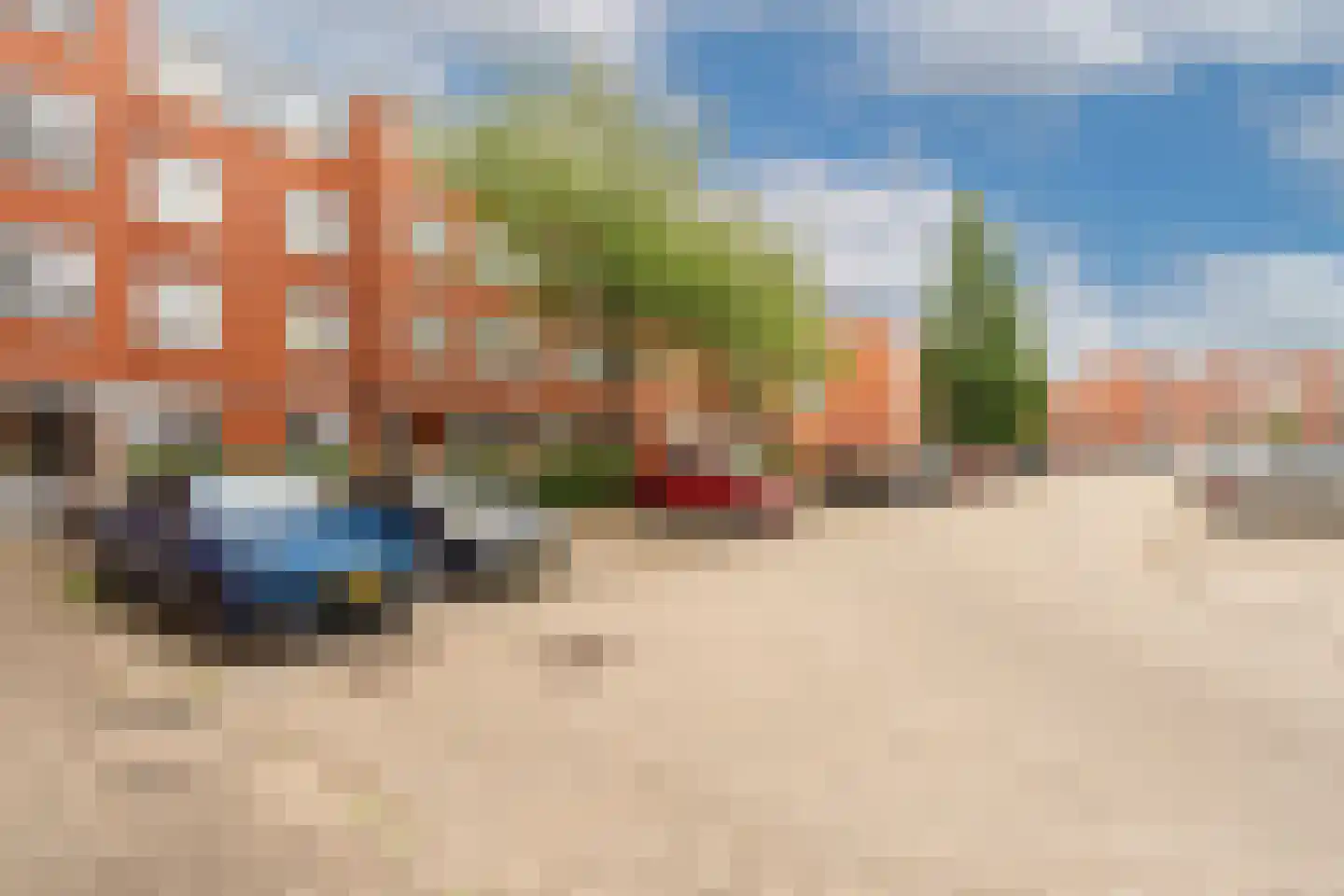 Havikskruid 12 Diemen thumbnail 48